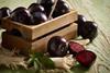 AU Queen Garnet plum