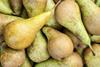 Pears closeup