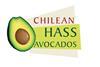 Chilean Hass Avocado Importers Association in the US