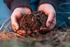 Organic farm soil sample