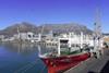 Cape Belle loading Cape Town