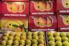 Indian Alphonso mangoes