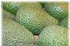Kanarische Inseln gründen Avocado-Vereinigung