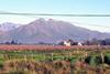 South Africa surges ahead