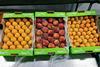 OTC Organics OrganoGroup organic Nectarcots Peaches Apricots