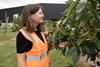 Tomra Fresh Food’s commodity science team lead, Brittany Jaine at research orchard