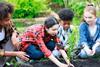 NFU Education wants to help kids learn about food and farming