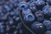 Blueberries bowl closeup Adobe
