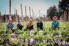 FairFruit Guatemala  agro team
