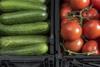 Ifco Rewe cucumbers tomatoes