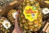 Piñata Farms launches new branding as it begins harvest on its far north Queensland crop