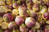 ESG Drysdale is a major swede supplier, among other crops