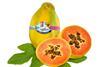 SanLucar listet „Sweet Sense“-Papayas von den Kanarischen Inseln