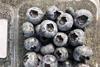 Yunnan blueberries S&A china counter seasonal