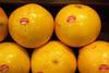 Florida_Grapefruit_Citrus_05.JPG