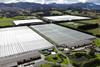 SPL glasshouses