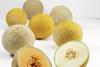 Mixed fortunes for melon crops