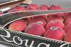 Fresh Royal peaches