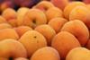 Apricots