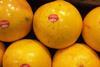 Florida_Grapefruit_Citrus__1_.JPG