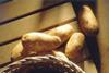 Potato sector gears up for busy Christmas period