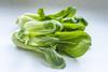 pakchoi_kohl_metsikgarden_pixabay_2021_healthy-3206231
