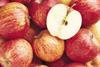 Too many bad apples behind market crash