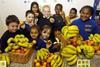 Fresh impetus in school meal guidelines