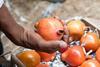 India pomegranates