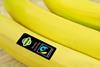 Fairtrade Bananas closeup Adobe