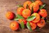 MA Delassus clementine citrus