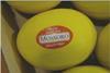 Mossoro Hispa melons yellow Brazil