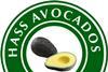 Chile Hass avocados logo