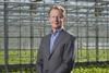 NL Ton Wortel Greenery