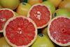 Honduras grapefruit