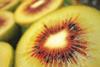 Kiwifruit Hongyang