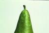 Belgian pears buck trend