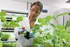 Bayer: Biologisches Pflanzenschutzmittel erstmals zugelassen