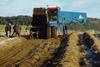 Growers are being sought to take part in organic weeding trials