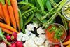 Norwegen: Agrarministerium will heimische Obst- und Gemüseproduktion stärken