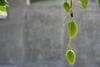 AdobeStock_2209958380