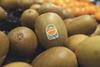 Zespri SunGold