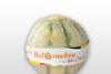 BelOrta startet Verkauf von Charentais-Melonen aus eigenem Anbau