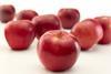 RubyFrost apples New York State