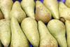 Belgien: Birnen legen zu - Apfelernte wird aber deutlich kleiner ausfallen