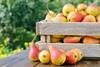 Swisscofel: Lagerbestand bei Tafeläpfeln lag Ende Februar über Vorjahresniveau