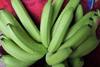 Bananen/Costa Rica: Corbana schließt sich Kritik Ecuadors an