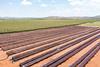 South Africa raisin production drying overhead view