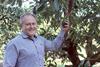 John Tyas, Avocados Australia