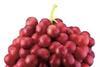 Red fruit skins could stave off asthma